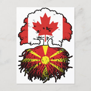 Macedonia Macedonian Canadian Canada Tree Roots Postcard