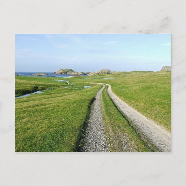 Machair, Isle of Iona Postcard (Front)