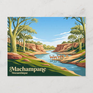 Machampane Wilderness Mozambique Postcard