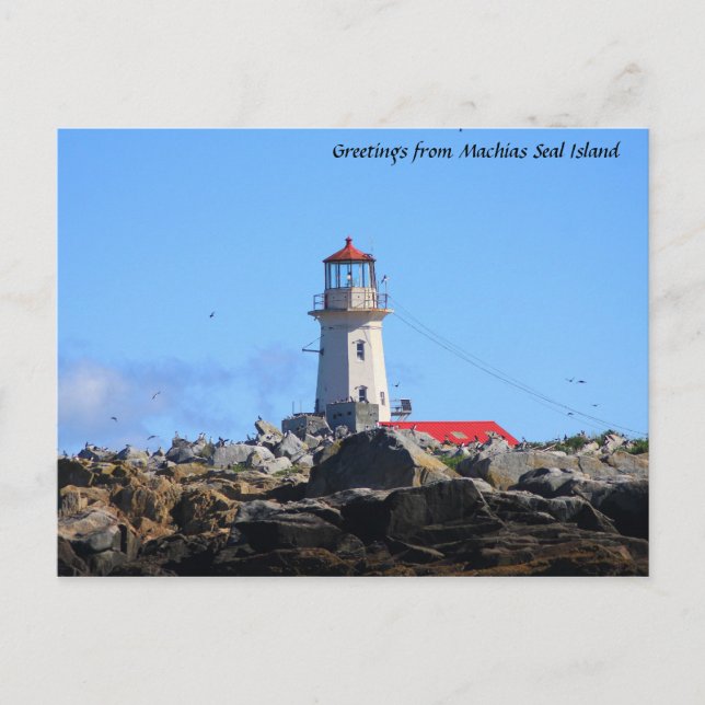 Machias Seal Island Lighthouse Postcard (Front)