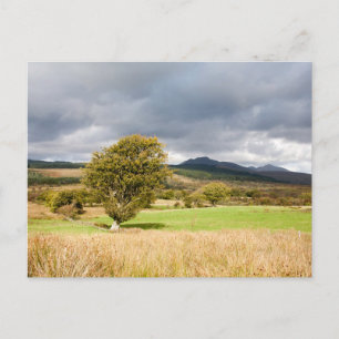 Machrie Moor Postcard