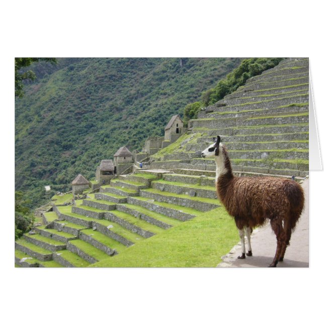 machu llama view (Front Horizontal)