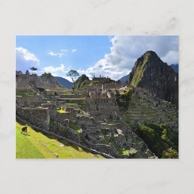 Machu Picchu, Peru, Afternoon Postcard (Front)