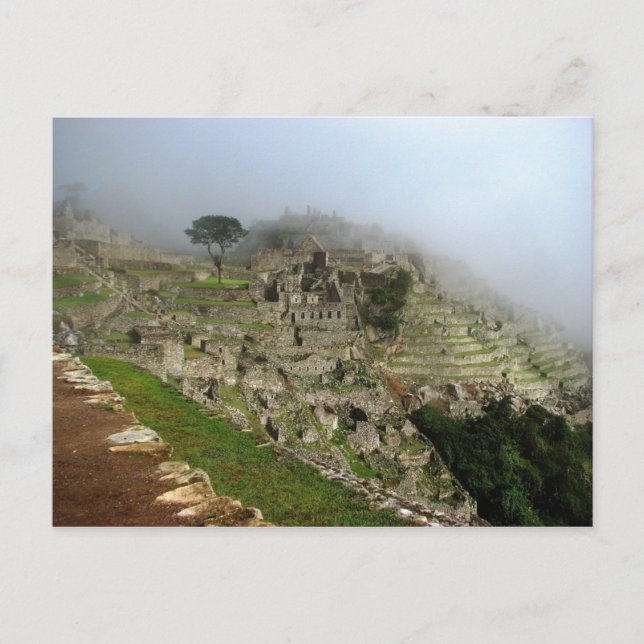 Machu Picchu, Peru Postcard (Front)