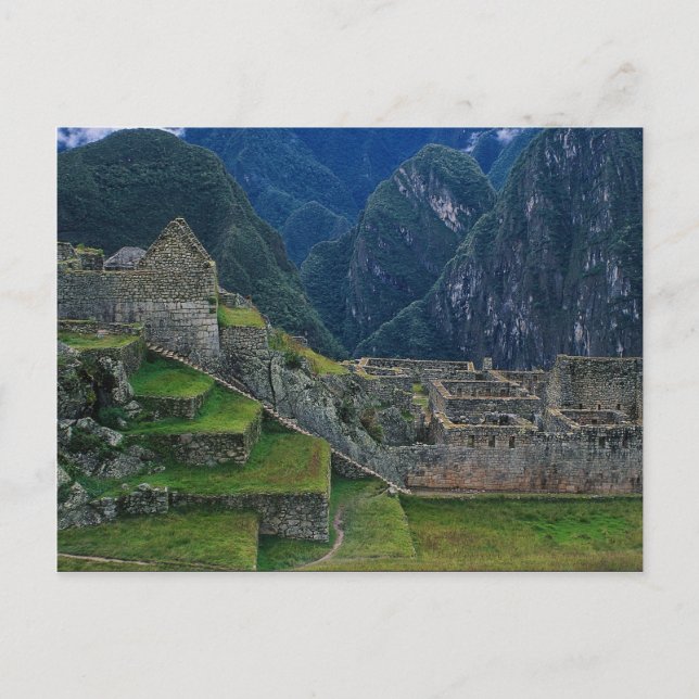 Machu Picchu, Peru Postcard (Front)