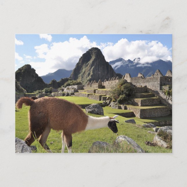 Machu Picchu Postcard (Front)
