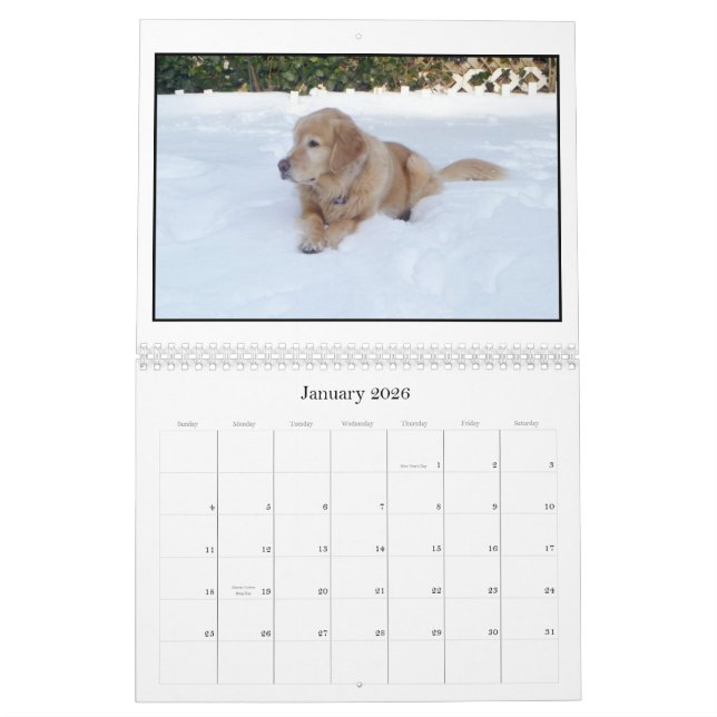 Mack & Friends 2012 Calendar (Jan 2026)