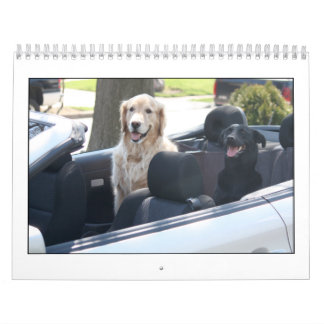 Mack & Friends Calendar 2010