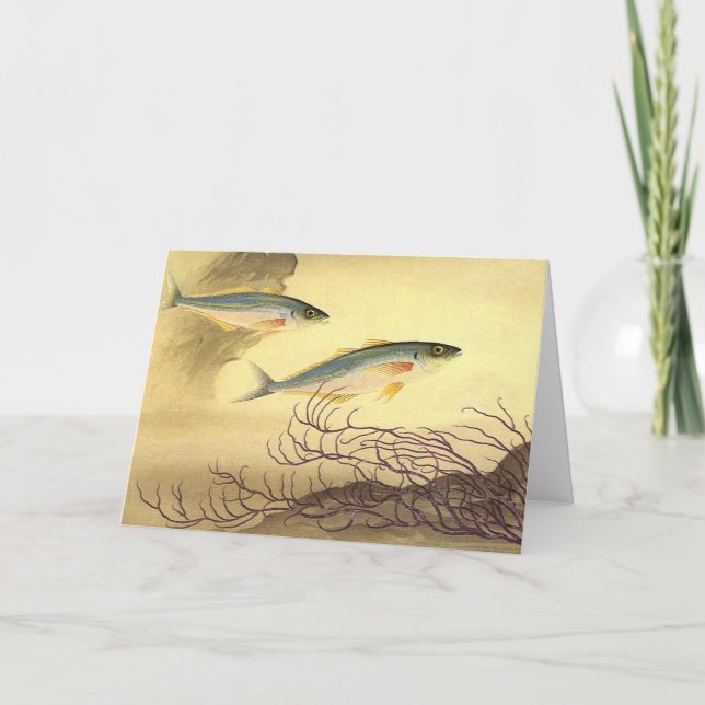 Mackerel Fish Swimming in the Ocean Card (Front)