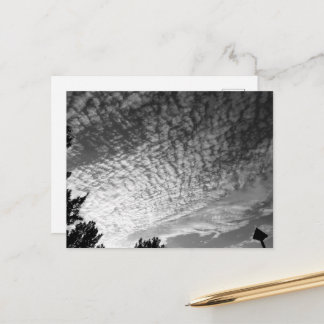 Mackerel Sky: Black and White Postcard