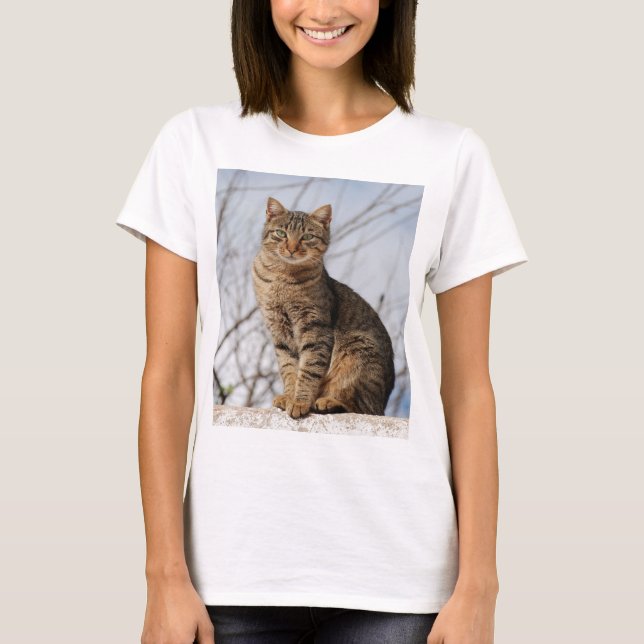 Mackerel Tabby Cat Women's T-Shirt (Front)