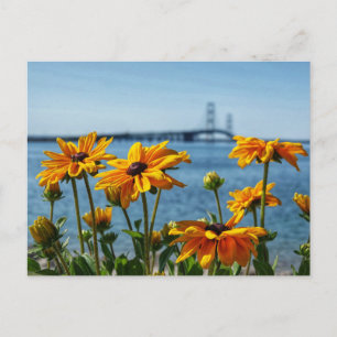 Mackinac Bridge Black Eyes Postcard