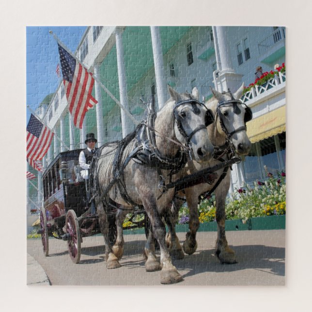 Mackinac Island Carriage Ride - 20x20 - 676 pc Jigsaw Puzzle (Vertical)