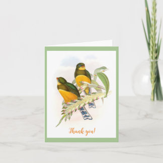 Macklot’s Trogon (1850-1883) Card