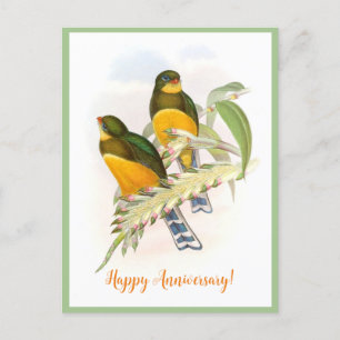 Macklot’s Trogon (1850-1883)  Postcard