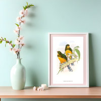 Macklot’s Trogon (1850-1883)