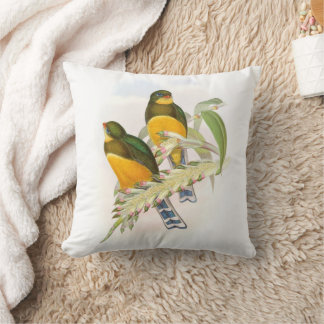 Macklot’s Trogon,   Cushion