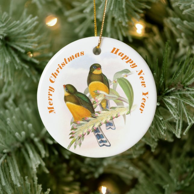 Macklot’s Trogon, Tree Ornament (Tree)