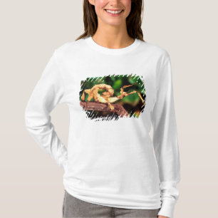 Macleay's Spectre (Spiney Stick Insect), T-Shirt