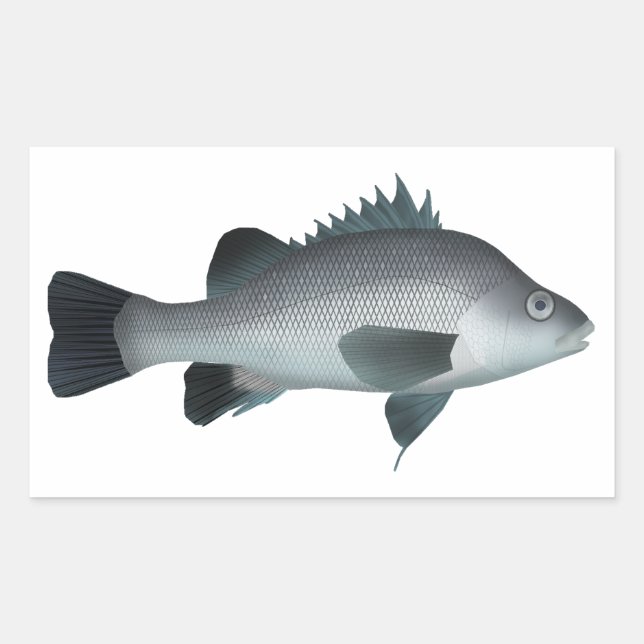 Macquarie Perch  Rectangular Sticker (Front)