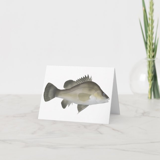Macqurie Perch  Note Card (Front)