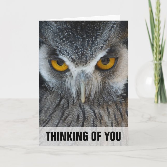Macro Black and White Owl Thinking Of You Card (Front)