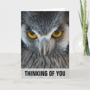 Macro Black and White Owl Thinking Of You Card