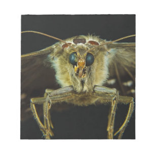Macro Close Up of Butterfly Notepad