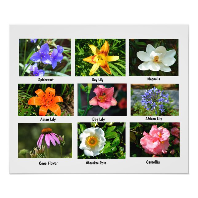 Macro flowers Photo Enlargement (Front)