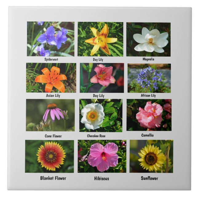Macro flowers poster tile (Front)