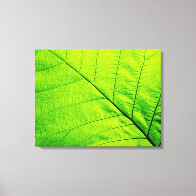 Macro Green Leaf Wrapped Canvas (Front)