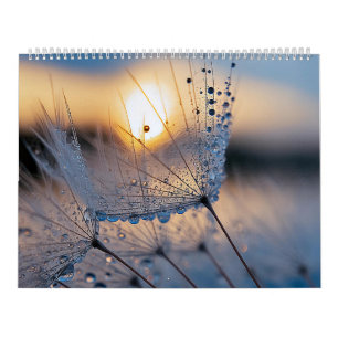 Macro nature photos calendar