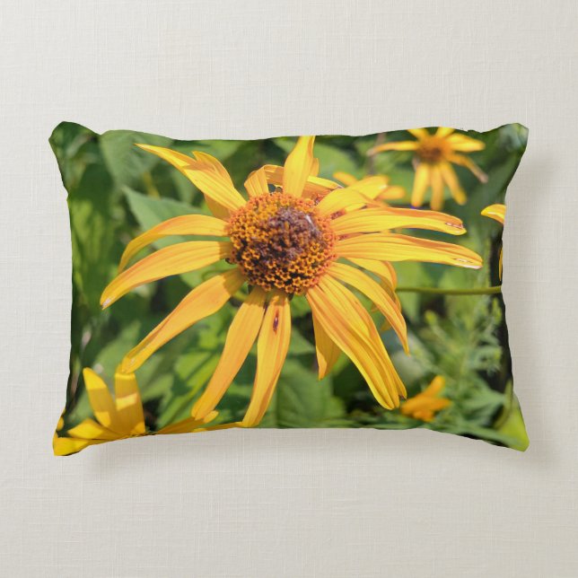 Macro of False Sunflowers Decorative Cushion (Front)
