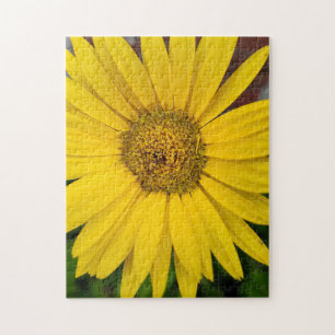 Macro of Yellow Flower Jigsaw Puzzle