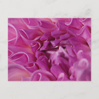 Macro photo flower