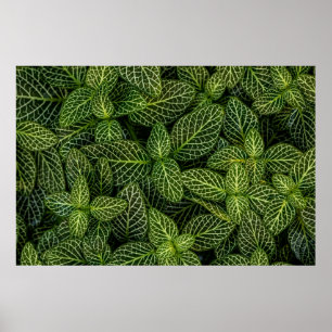 MACRO PHOTO OF GREEN-LEAFED PLANTS POSTER