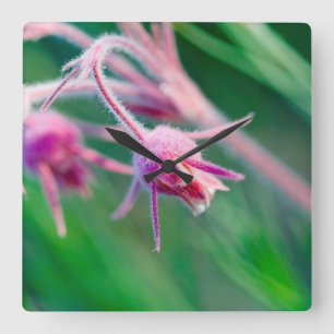 Macro photo of prairie flowers in Montana Square Wall Clock