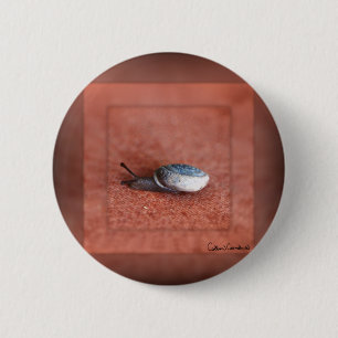 Macro Photograph of Snail on Terracotta 6 Cm Round Badge