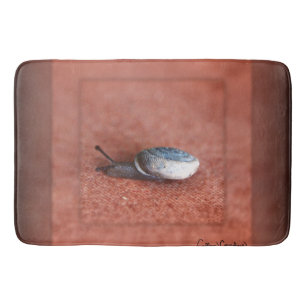 Macro Photograph of Snail on Terracotta Bath Mat