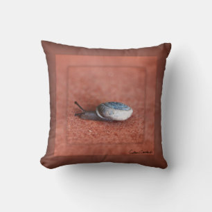 Macro Photograph of Snail on Terracotta Cushion