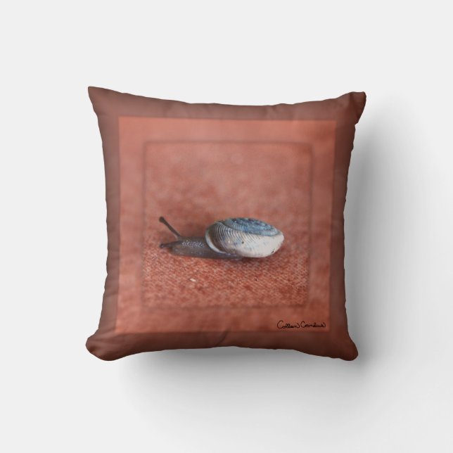 Macro Photograph of Snail on Terracotta Cushion (Front)