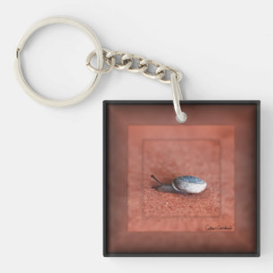 Macro Photograph of Snail on Terracotta Key Ring