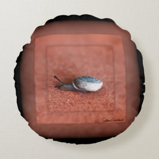 Macro Photograph of Snail on Terracotta Round Cushion