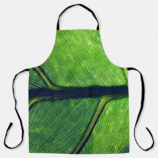 Macro photography of green leaf apron (Front)