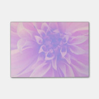 Macro Pink Flower