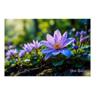 Macro Purple Forest Wildflowers with Dew Poster