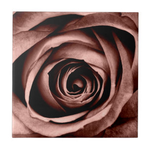 Macro Rose Tile