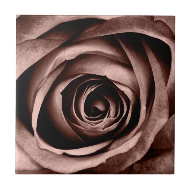 Macro Rose Tile (Front)