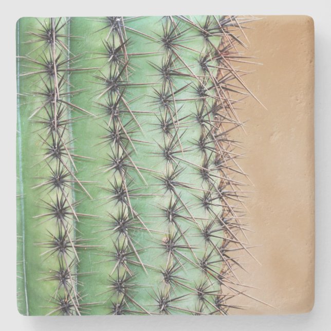 Macro Saguaro Cactus,Arizona, square stone coaster (Front)