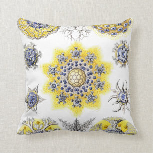 Macro Sea Creatures ~ Amoeba Cushions